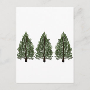 Carte Postale Pins triple
