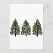 Carte Postale Pins triple (Devant)