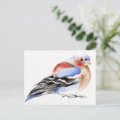 Carte Postale Pinson coloré 2011 (Debout devant)