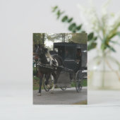 Carte Postale Pinto Amish Horse et Buggy (Debout devant)