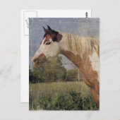 Carte Postale Pinto Horse Grunge (Devant / Derrière)