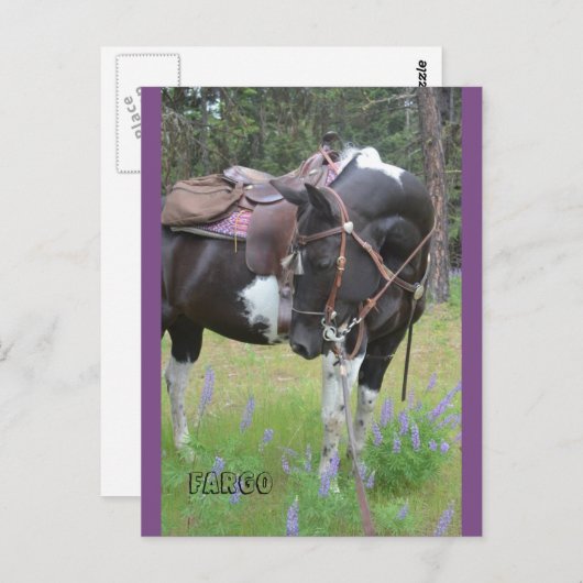 Carte postale Pinto mare Fargo (Devant / Derrière)