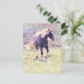 Carte Postale Pinto Pony (Debout devant)