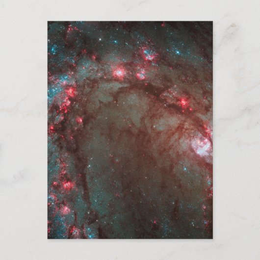 Carte Postale Pinwheel Sud (Devant)