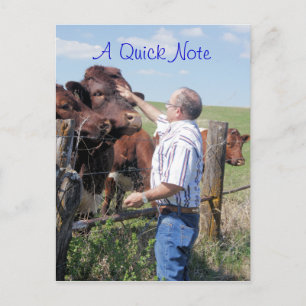 Carte Postale Pinzgauer Bull & Vaches - personnaliser