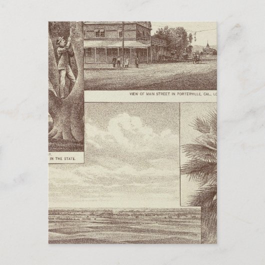 Carte Postale Pioneer Land Co, contrat, Porterville (Devant)