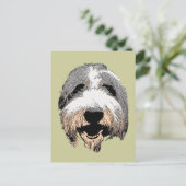 Carte postale Pipe de chien riant (Debout devant)