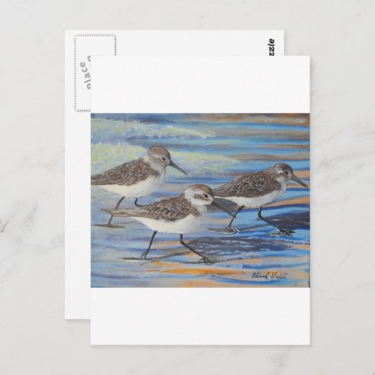 Carte Postale Pipe de sable (Devant / Derrière)