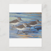 Carte Postale Pipe de sable (Devant)