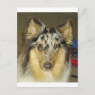 Carte Postale pipette