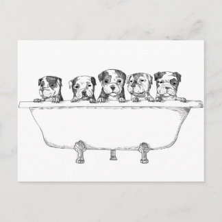 Carte Postale Pipettes Pitbull dans le bain - Illustration