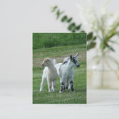 Carte Postale Pippi et Grey (Debout devant)