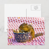 Carte Postale Pique-nique Chipmunk (Devant / Derrière)