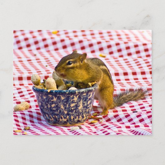 Carte Postale Pique-nique Chipmunk (Devant)
