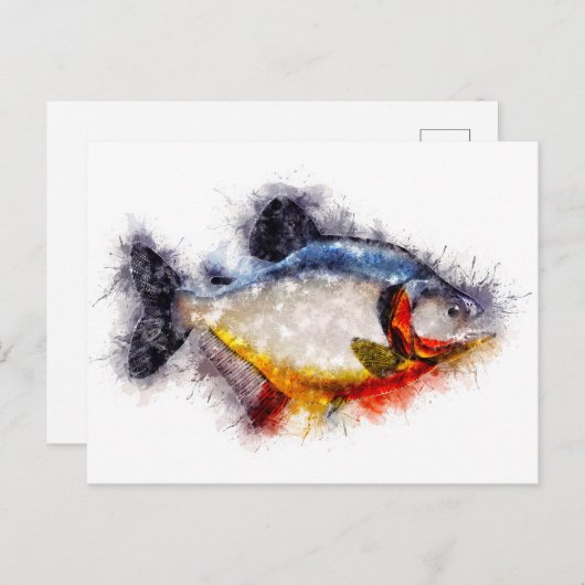 Carte Postale Piranha à ventre rouge Aquarelle monstre de poisso (Devant / Derrière)