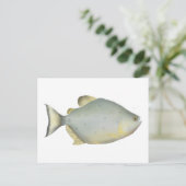 Carte Postale Piranha Rubis Rouge (Debout devant)