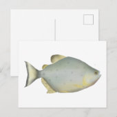 Carte Postale Piranha Rubis Rouge (Devant / Derrière)