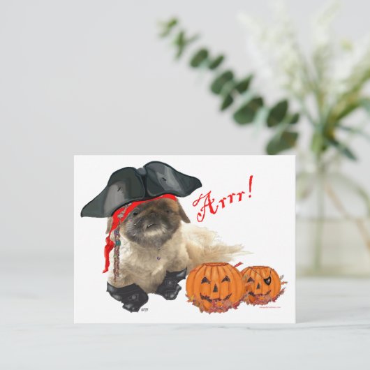 Carte Postale Pirate Doggie (Debout devant)