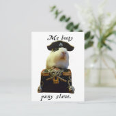 Carte Postale Pirate drôle de porc de Guinée (Debout devant)