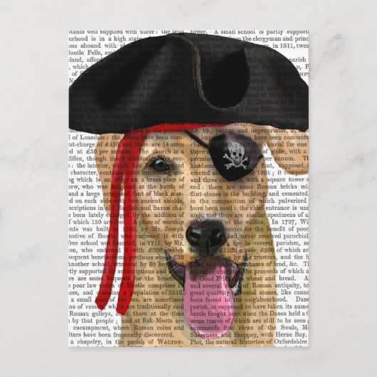 Carte Postale Pirate jaune du Labrador 2 (Devant)