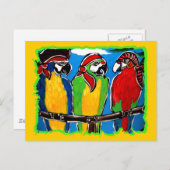 Carte Postale PIRATE Parrots (Devant / Derrière)