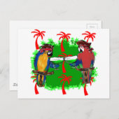 Carte Postale PIRATE Parrots (Devant / Derrière)