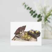 Carte Postale PirateSkullBooty092009 (Debout devant)