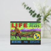 Carte Postale Pires de vie (Debout devant)