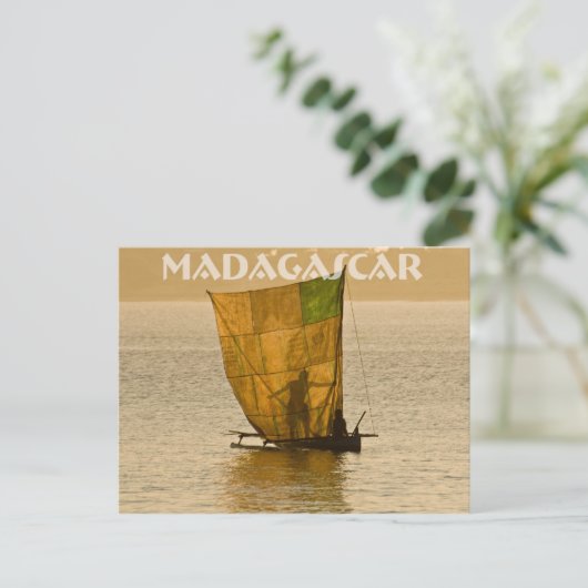 Carte Postale Piroguier Vezo (Debout devant)