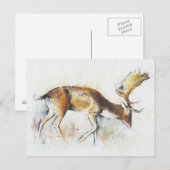 Carte Postale Pisanello Buck 2006 (Devant / Derrière)