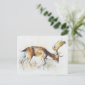 Carte Postale Pisanello Buck 2006 (Debout devant)