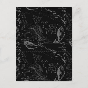 Carte Postale Pisces Constellation Hevelius 1690 sur Black