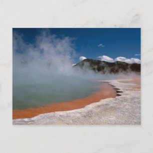 Carte Postale Piscine à vapeur à champagne à WAI-O-TAPU