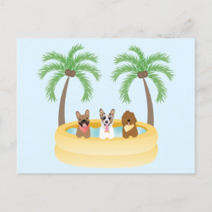 Carte Postale Piscine pour chiens d'été