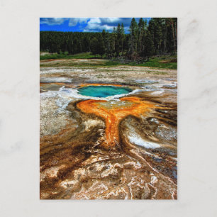 Carte Postale Piscine thermique de Yellowstone