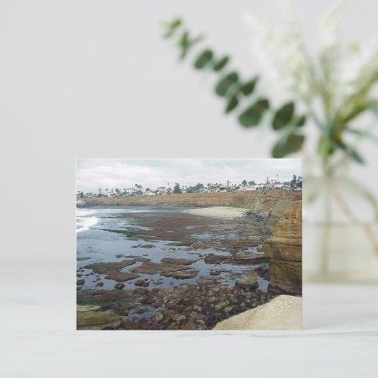 Carte Postale Piscines Ocean Beach Cliffs (Debout devant)