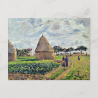 PISSARRO - HISTOCQUES ET PATCH DE CABBAGE,