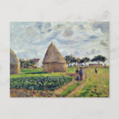 CARTE POSTALE PISSARRO - HISTOCQUES ET PATCH DE CABBAGE, (Devant)