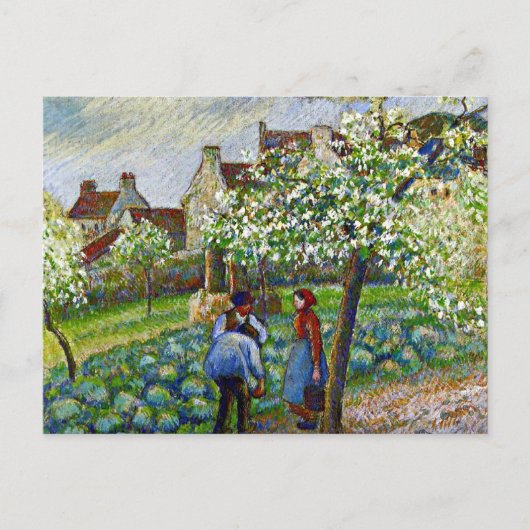 Carte Postale Pissarro - Plum Trees (Devant)