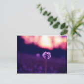 Carte Postale Pissenlit (Debout devant)