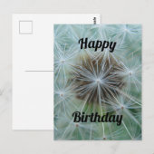 Carte postale Pissenlit blanc (Devant / Derrière)