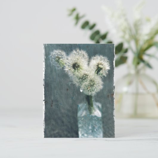 Carte Postale Pissenlits (Debout devant)