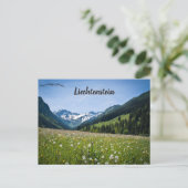 Carte Postale Pissenlits à Steg Liechtenstein (Debout devant)