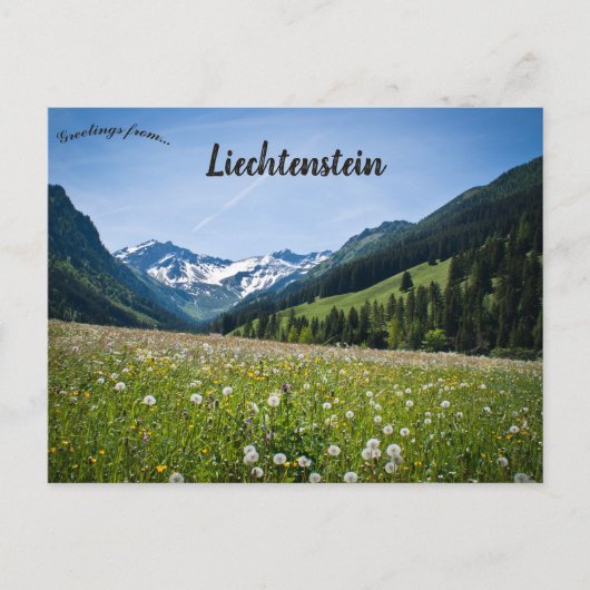 Carte Postale Pissenlits à Steg Liechtenstein (Devant)