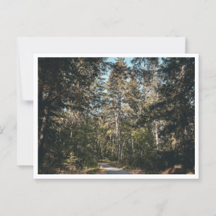 Carte Postale Piste