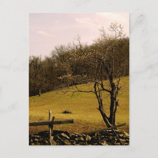 Carte Postale Piste Appalachian (Devant)