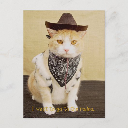 Carte Postale Piste Bubba (Devant)