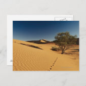 Carte Postale piste dans le désert paysage de Namib à (Devant / Derrière)