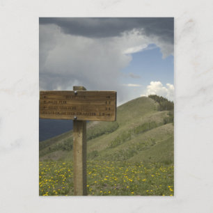 Carte Postale piste de pointe