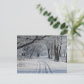 Carte Postale Piste de randonnée d'hiver (Debout devant)